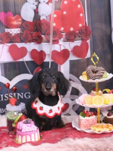 20250212ハルちゃん